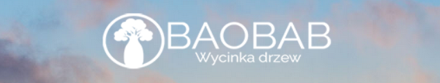 Mycie Okien Baobab Rafał Zahorski